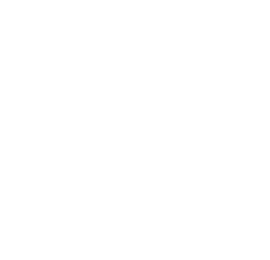 Logotipo SENA